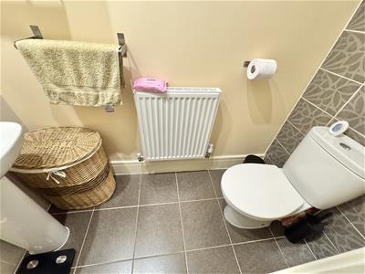 Picture 8